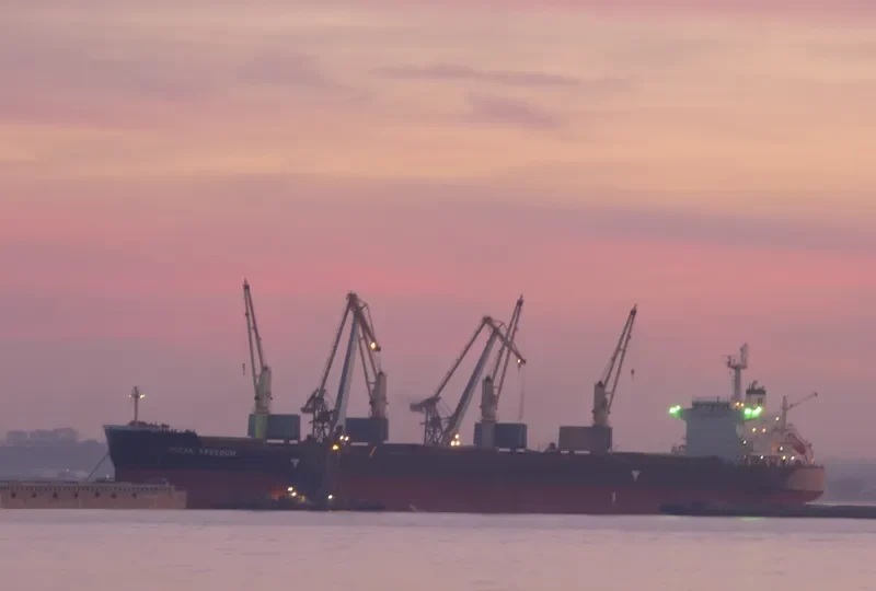 OCEAN FREEDOM Bulk Carrier IMO 9423932 photo 7