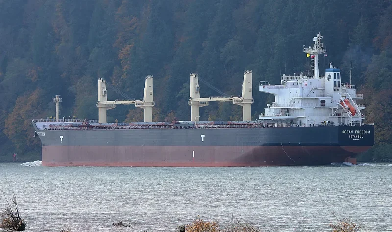 OCEAN FREEDOM Bulk Carrier IMO 9423932 photo 9