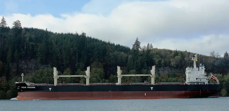 OCEAN FREEDOM Bulk Carrier IMO 9423932 photo 10