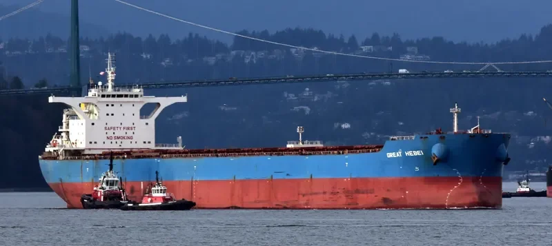 GREAT EXPLORER Bulk Carrier IMO 9423944 photo 7