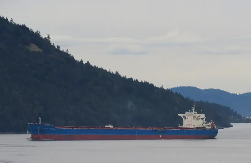 OCEAN EMPEROR Bulk Carrier IMO 9423956 photo 5