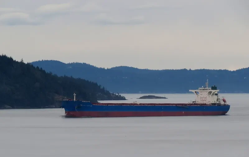 OCEAN EMPEROR Bulk Carrier IMO 9423956 photo 6