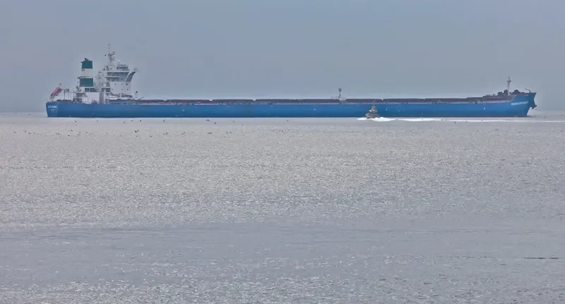 OCEAN EMPEROR Bulk Carrier IMO 9423956 photo 8