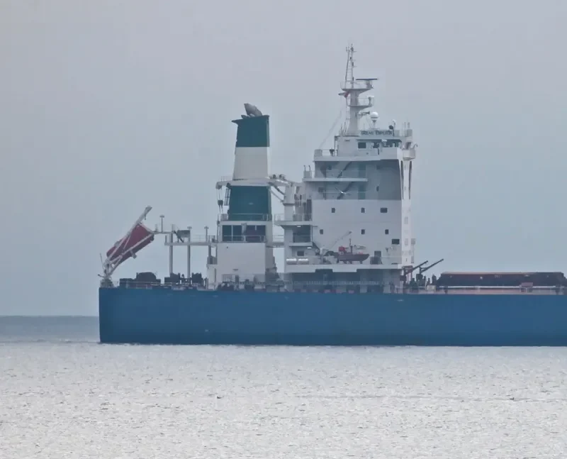 OCEAN EMPEROR Bulk Carrier IMO 9423956 photo 9
