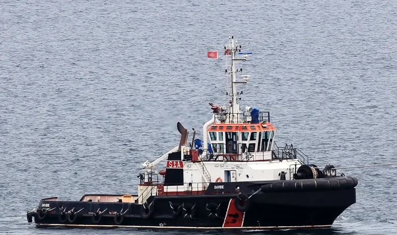 DAVIDE General Cargo IMO 9423994 photo 2