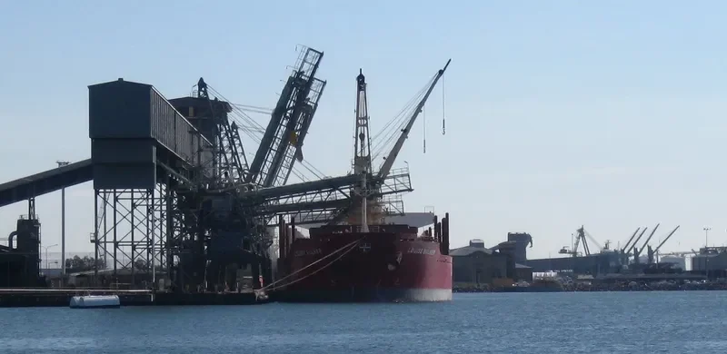 FLYING DUCHESS Bulk Carrier IMO 9424089 photo 3
