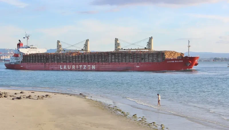FLYING DUCHESS Bulk Carrier IMO 9424089 photo 5