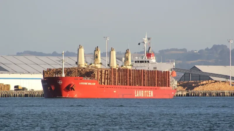 FLYING DUCHESS Bulk Carrier IMO 9424089 photo 6