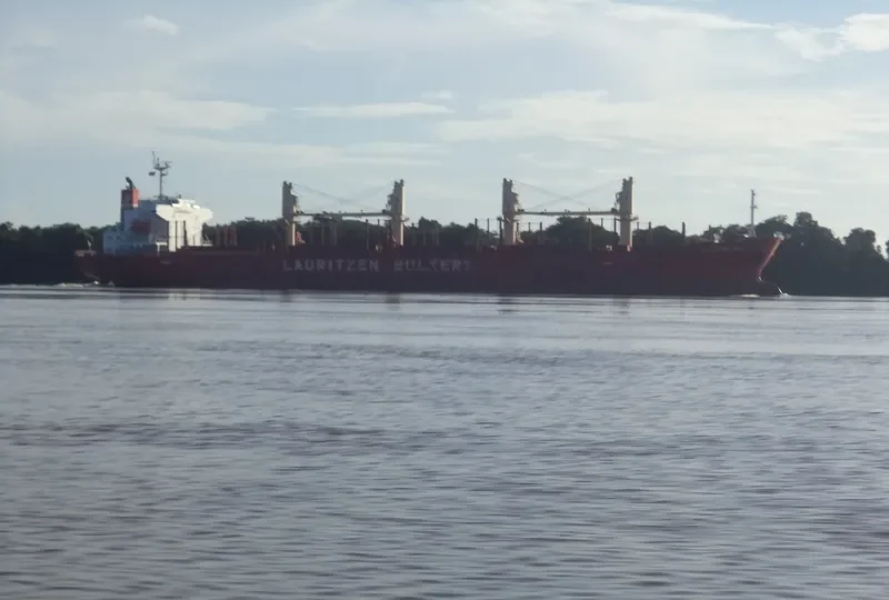 FLYING DUCHESS Bulk Carrier IMO 9424089 photo 8