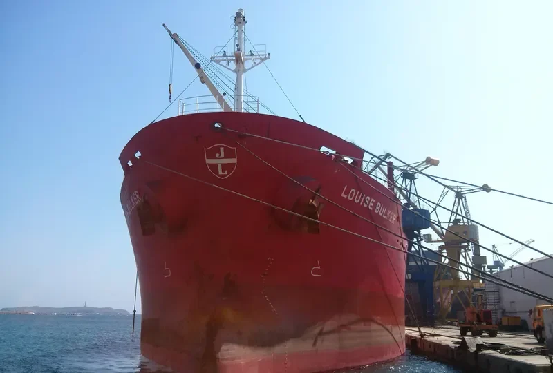 FLYING DUCHESS Bulk Carrier IMO 9424089 photo 10