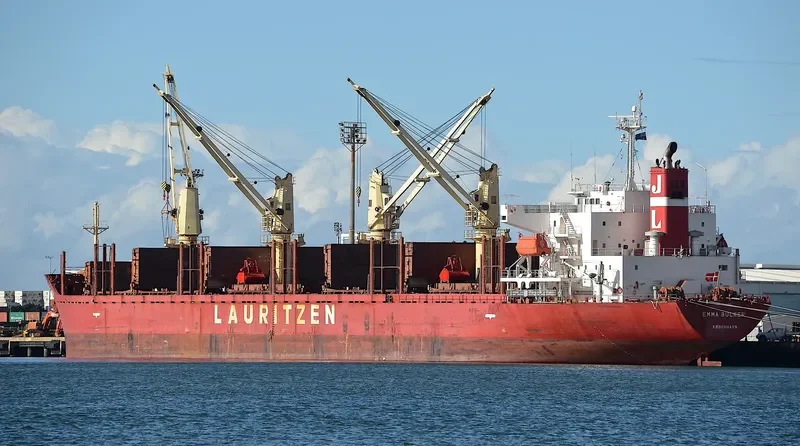 NIMBLE NICKY Bulk Carrier IMO 9424091 photo 2