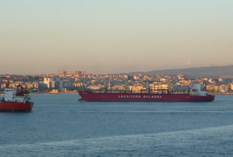 NIMBLE NICKY Bulk Carrier IMO 9424091 photo 6