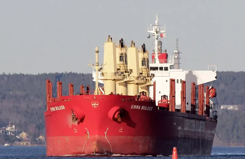 NIMBLE NICKY Bulk Carrier IMO 9424091 photo 7