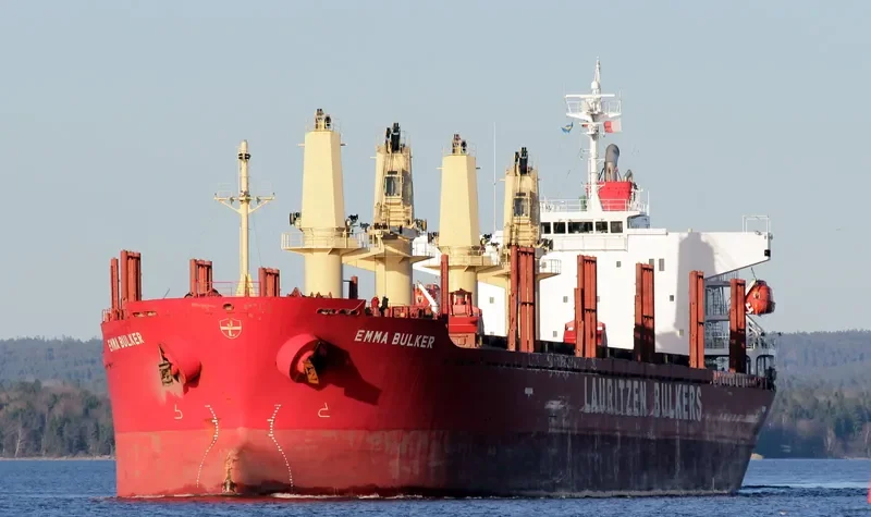 NIMBLE NICKY Bulk Carrier IMO 9424091 photo 8