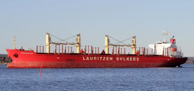 NIMBLE NICKY Bulk Carrier IMO 9424091 photo 9