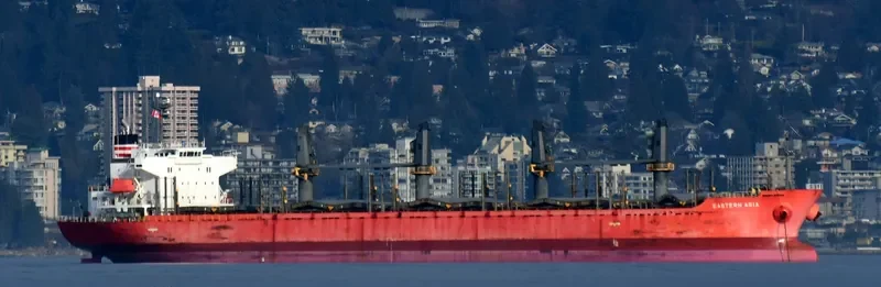 EASTERN ASIA Bulk Carrier IMO 9424118