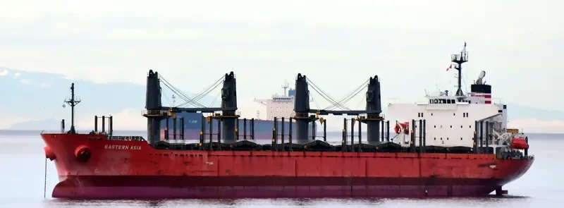 EASTERN ASIA Bulk Carrier IMO 9424118 photo 2