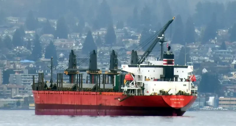 EASTERN ASIA Bulk Carrier IMO 9424118 photo 3