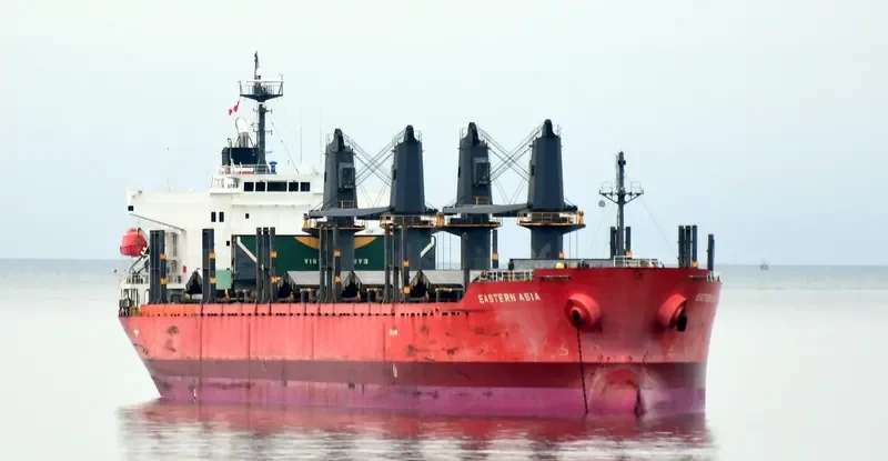 EASTERN ASIA Bulk Carrier IMO 9424118 photo 4