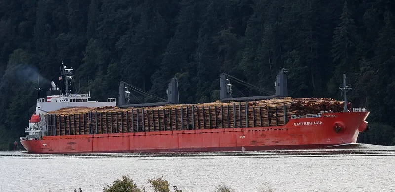 EASTERN ASIA Bulk Carrier IMO 9424118 photo 6