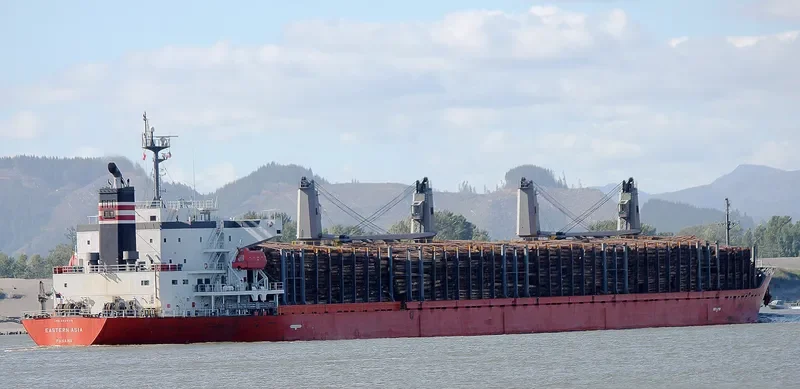 EASTERN ASIA Bulk Carrier IMO 9424118 photo 7