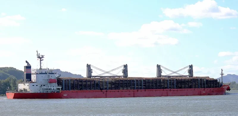 EASTERN ASIA Bulk Carrier IMO 9424118 photo 8