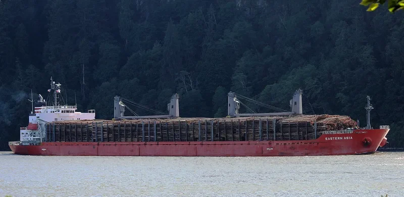 EASTERN ASIA Bulk Carrier IMO 9424118 photo 9