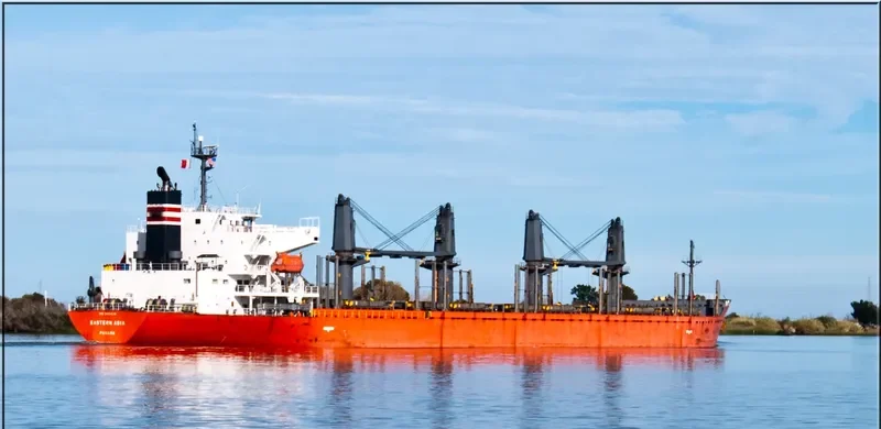 EASTERN ASIA Bulk Carrier IMO 9424118 photo 10