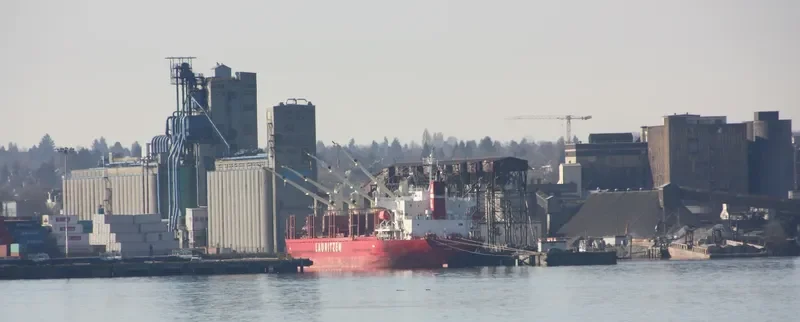 NOVI Bulk Carrier IMO 9424120 photo 7