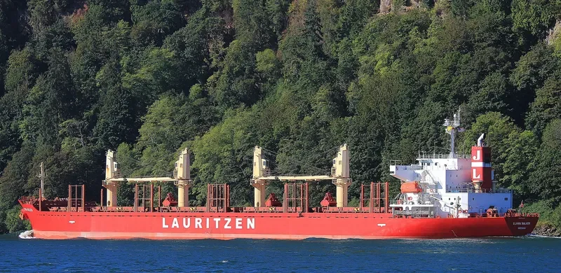 TEAM FOCUS Bulk Carrier IMO 9424132 photo 4