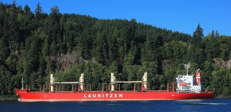 TEAM FOCUS Bulk Carrier IMO 9424132 photo 5
