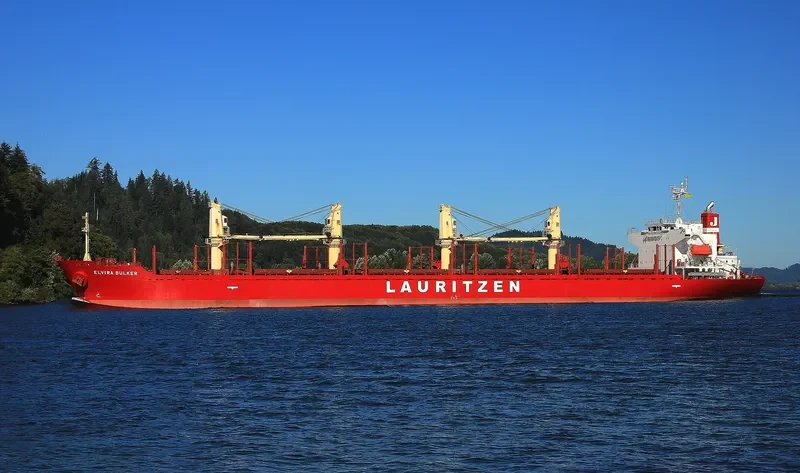 TEAM FOCUS Bulk Carrier IMO 9424132 photo 6