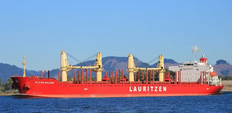 TEAM FOCUS Bulk Carrier IMO 9424132 photo 7