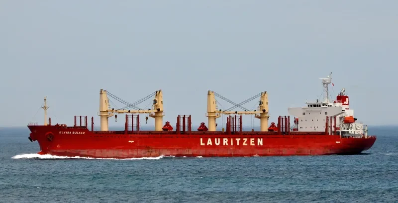 TEAM FOCUS Bulk Carrier IMO 9424132 photo 9