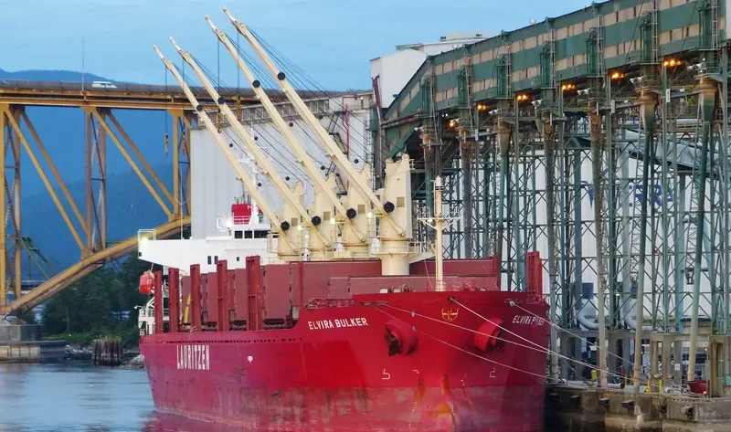 TEAM FOCUS Bulk Carrier IMO 9424132 photo 10