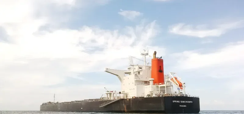 SPRING SAMCHEONPO Bulk Carrier IMO 9424235