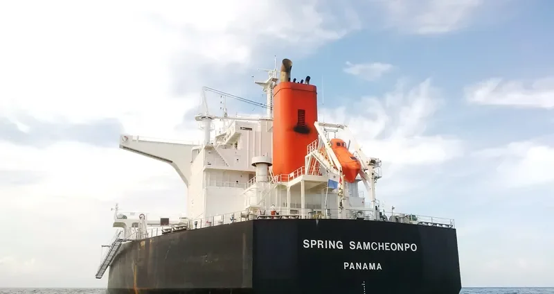 SPRING SAMCHEONPO Bulk Carrier IMO 9424235 photo 2