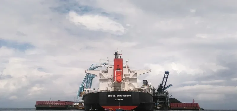SPRING SAMCHEONPO Bulk Carrier IMO 9424235 photo 3