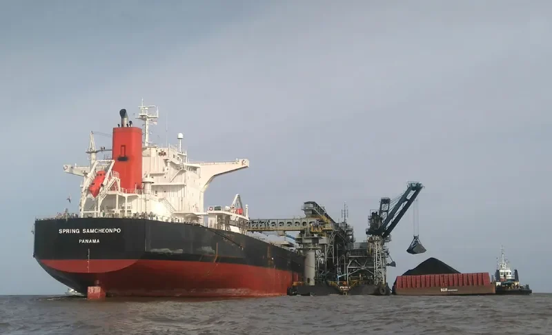 SPRING SAMCHEONPO Bulk Carrier IMO 9424235 photo 4