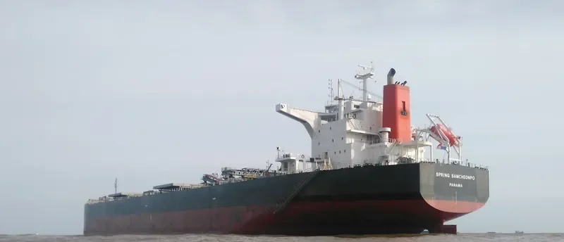 SPRING SAMCHEONPO Bulk Carrier IMO 9424235 photo 5