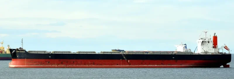 SPRING SAMCHEONPO Bulk Carrier IMO 9424235 photo 6