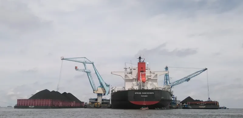 SPRING SAMCHEONPO Bulk Carrier IMO 9424235 photo 7