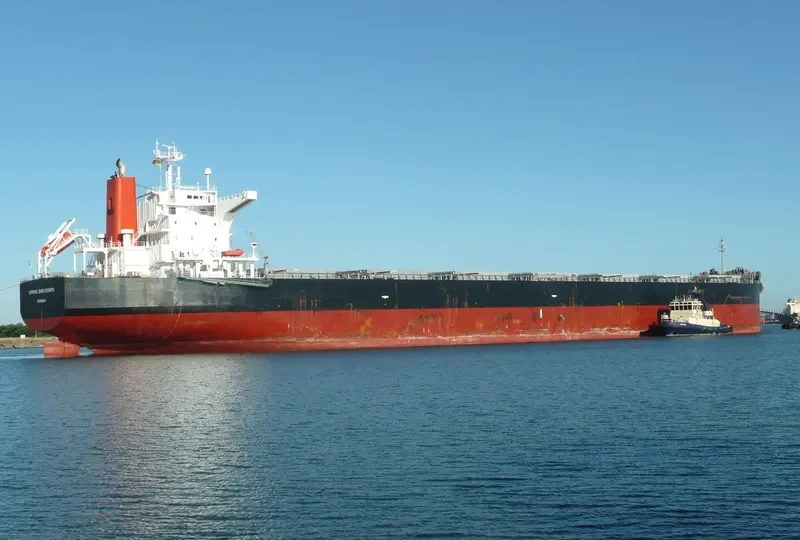 SPRING SAMCHEONPO Bulk Carrier IMO 9424235 photo 10