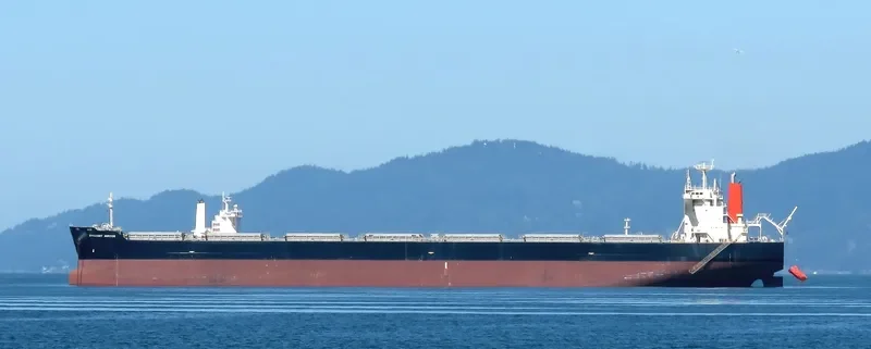 BRILLIANT JUPITER Bulk Carrier IMO 9424247 photo 4