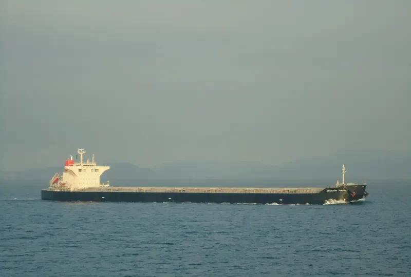 BRILLIANT JUPITER Bulk Carrier IMO 9424247 photo 9