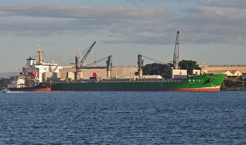 ZHE HAI 161 Bulk Carrier IMO 9424302 photo 2