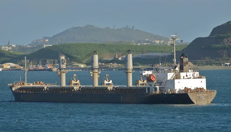 VALENTE VENUS Bulk Carrier IMO 9424637 photo 5