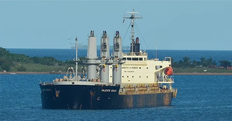 VALENTE VENUS Bulk Carrier IMO 9424637 photo 6