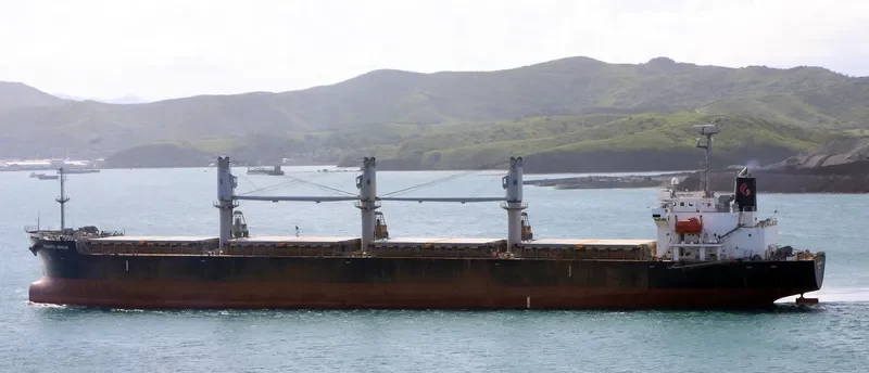 VALENTE VENUS Bulk Carrier IMO 9424637 photo 7