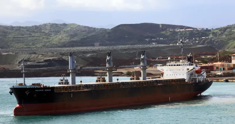 VALENTE VENUS Bulk Carrier IMO 9424637 photo 8